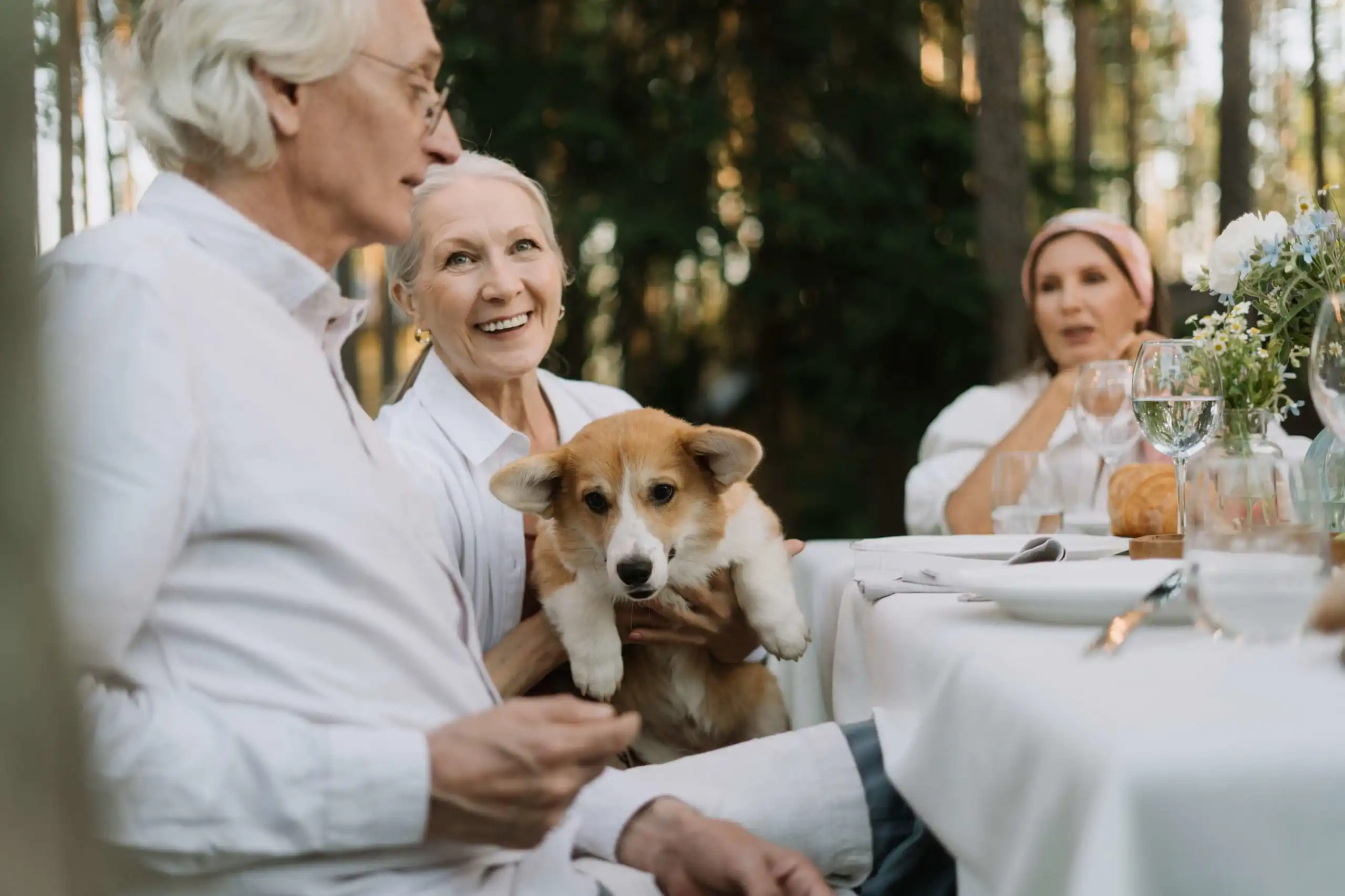 Benefícios entre Cães e Idosos